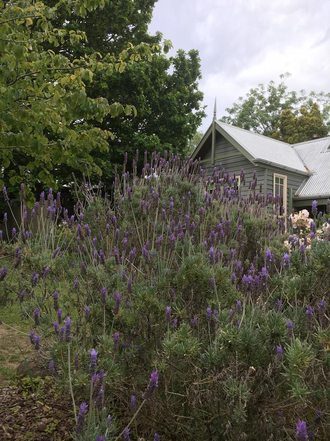 Oak Tree Lodge Rhyll Luaran gambar